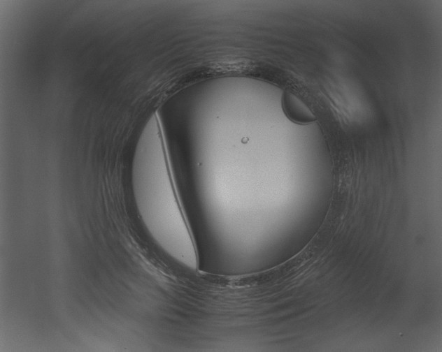 X0000053010647200507081022