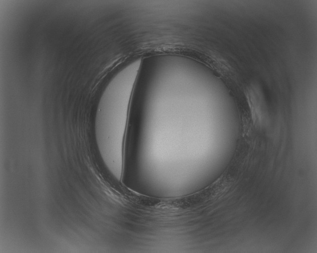 X0000053010648200507081022