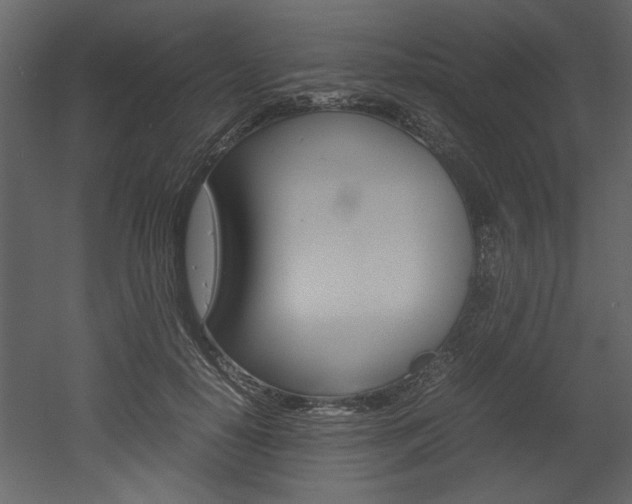 X0000053010650200507081022