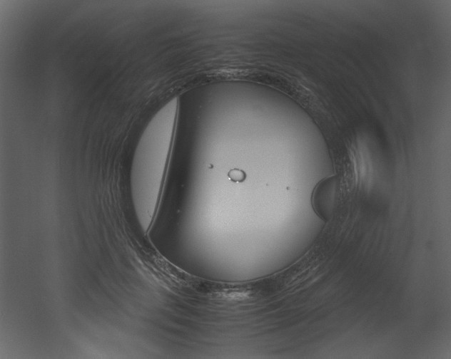 X0000053010651200507081022