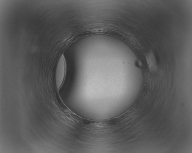 X0000053010652200507081022