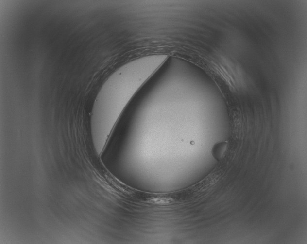 X0000053010654200507081022