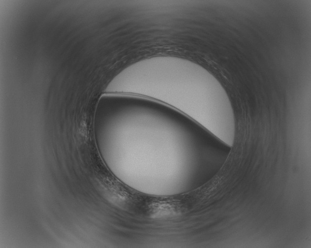 X0000053010655200507081023