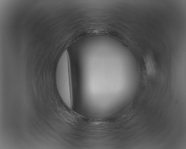 X0000053010657200507081023