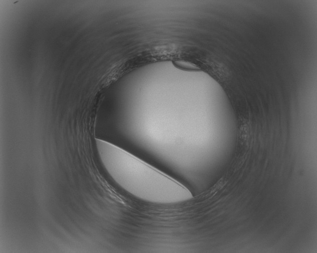 X0000053010662200507081023