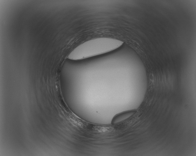 X0000053010663200507081023