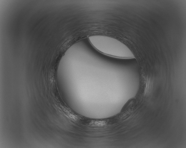 X0000053010665200507081023