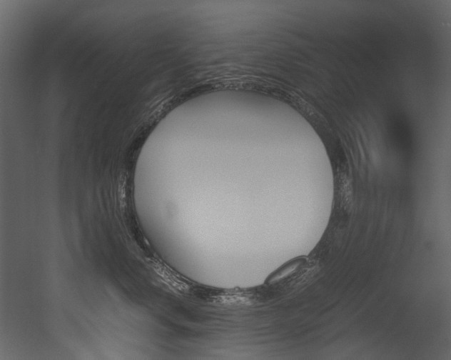 X0000053010668200507081023
