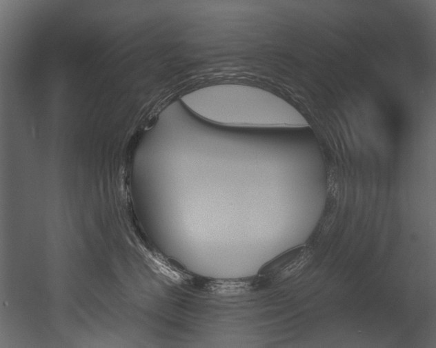 X0000053010670200507081023