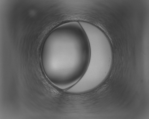 X0000053010673200507081022