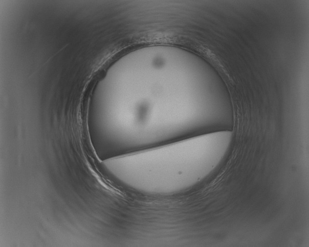 X0000053010674200507081022