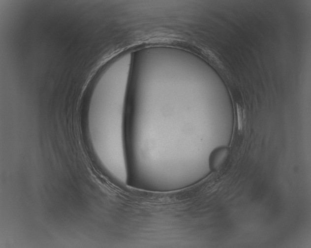 X0000053010675200507081022