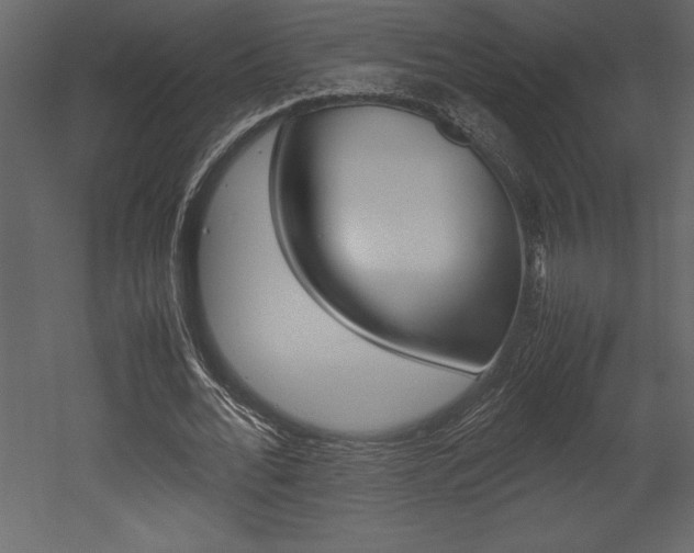 X0000053010676200507081022