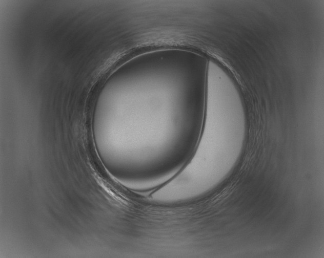 X0000053010677200507081022