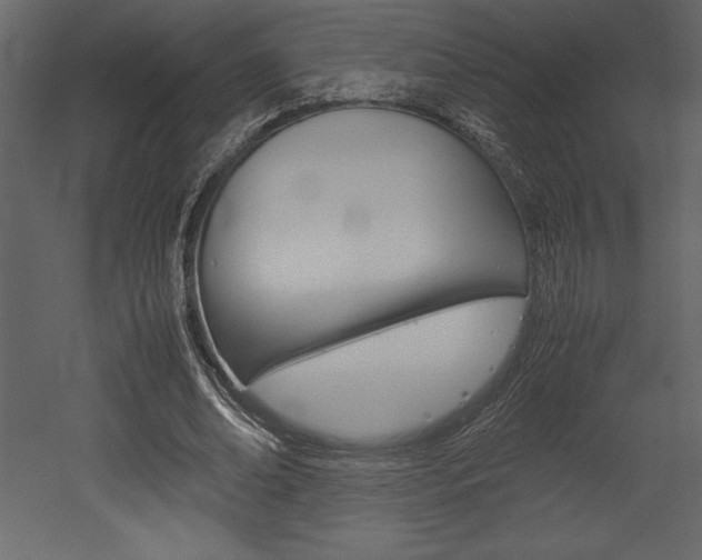 X0000053010678200507081022