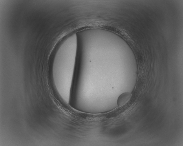 X0000053010679200507081022
