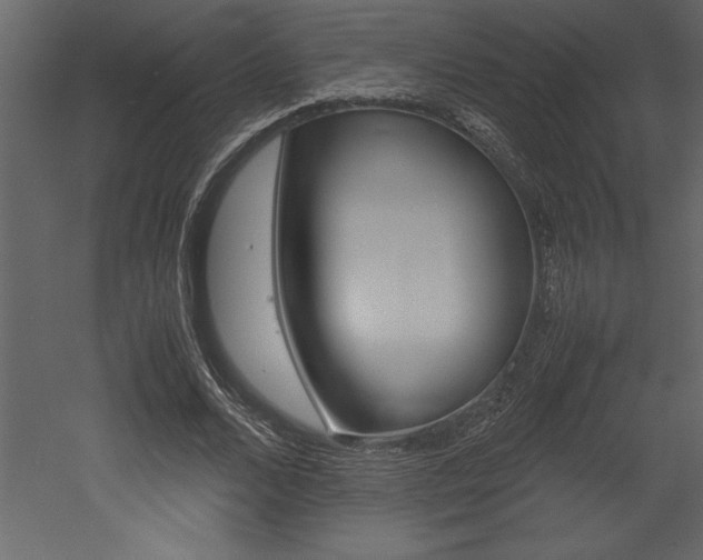 X0000053010680200507081022