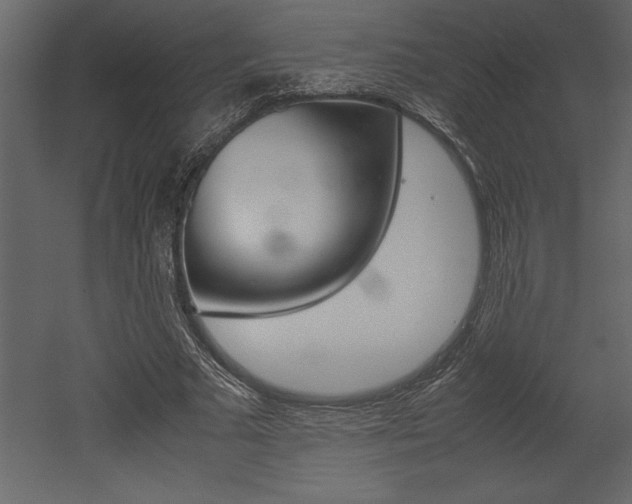 X0000053010681200507081022