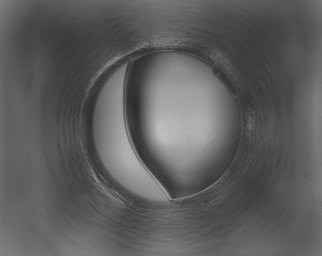 X0000053010684200507081022
