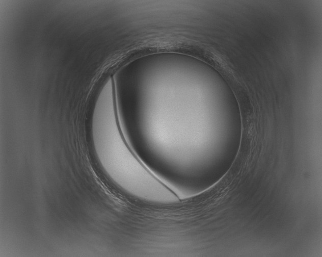 X0000053010685200507081022