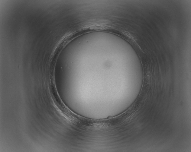 X0000053010686200507081022