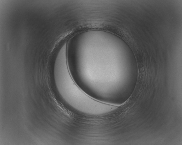 X0000053010688200507081022