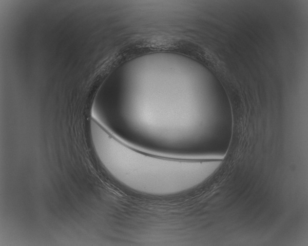 X0000053010689200507081022