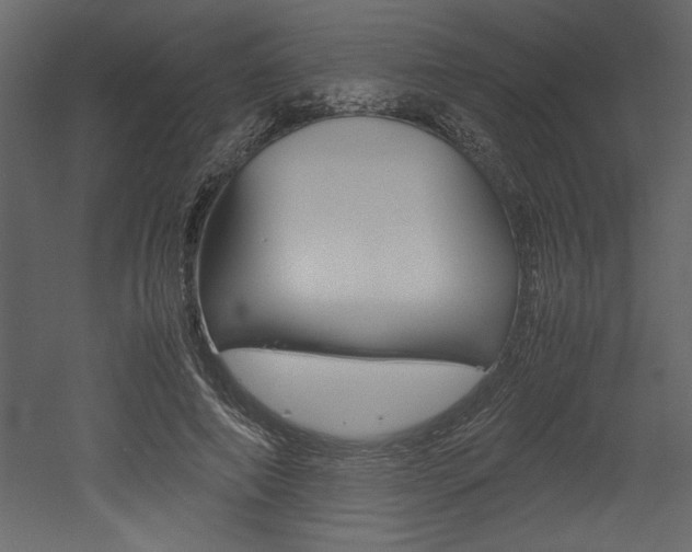 X0000053010690200507081022