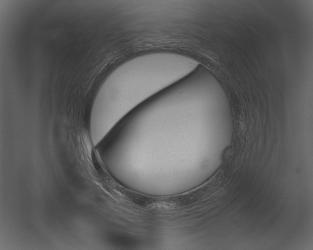 X0000053010691200507081022