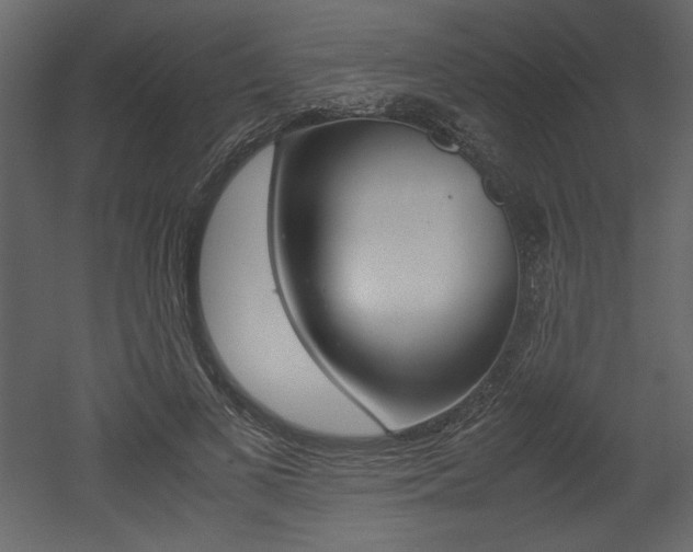 X0000053010693200507081022
