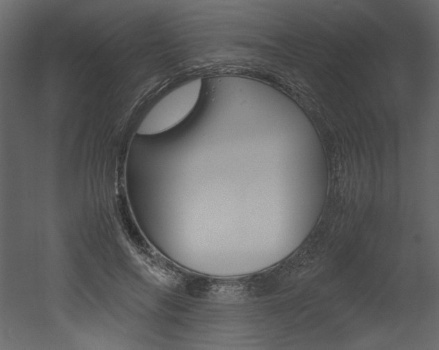 X0000053010694200507081022