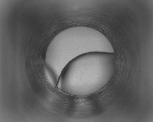 X0000053010695200507081022