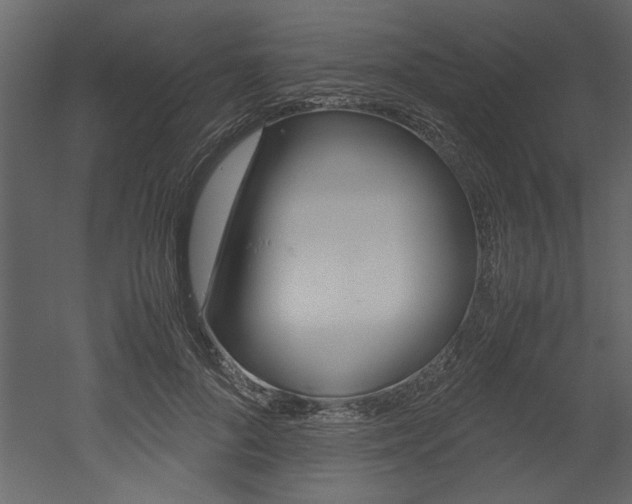 X0000053010696200507081022