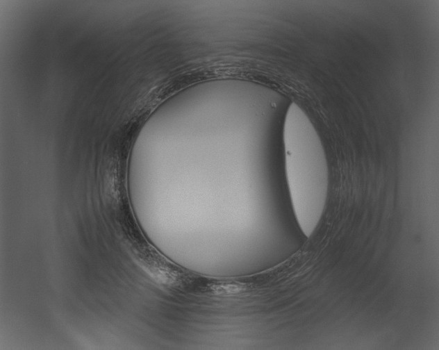 X0000053010698200507081022