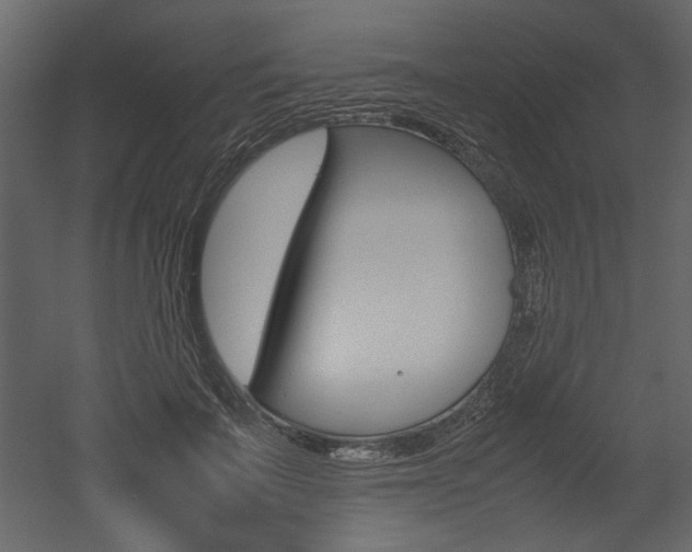 X0000053010699200507081022