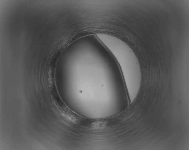 X0000053010700200507081022