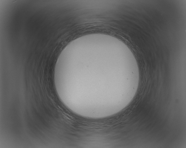X0000053010701200507081022
