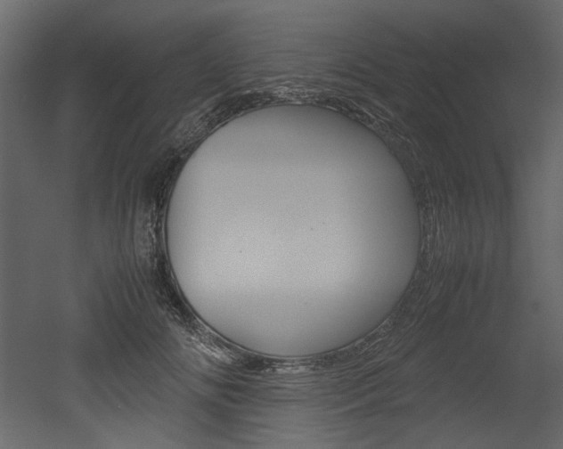 X0000053010702200507081021