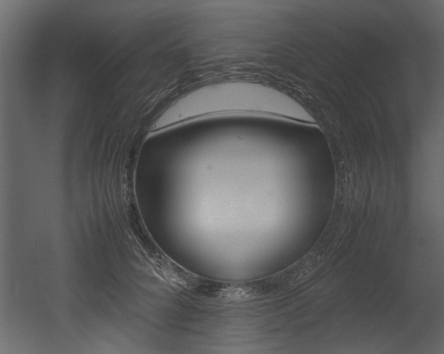 X0000053010704200507081021