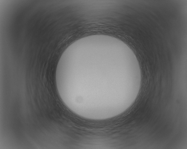 X0000053010705200507081021
