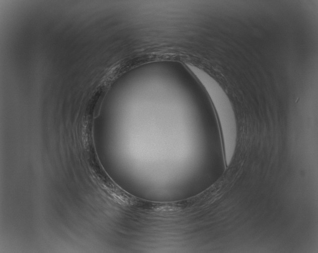 X0000053010708200507081021