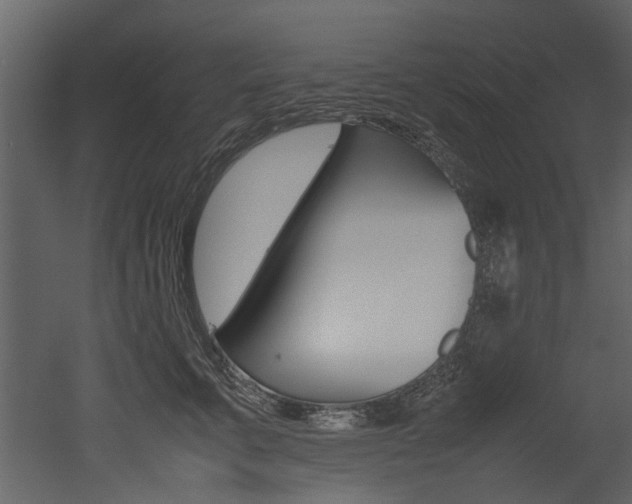 X0000053010711200507081021