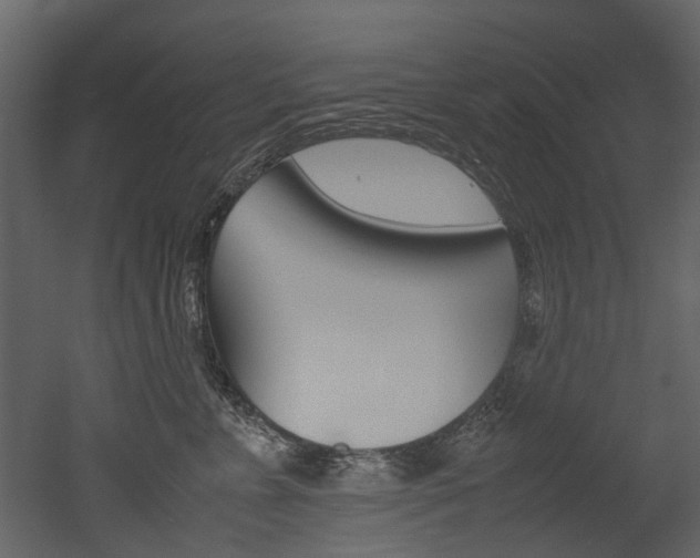 X0000053010715200507081021