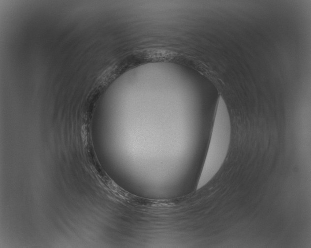 X0000053010716200507081021