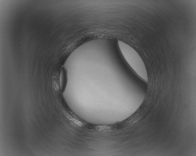 X0000053010719200507081021
