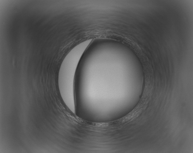 X0000053010720200507081021