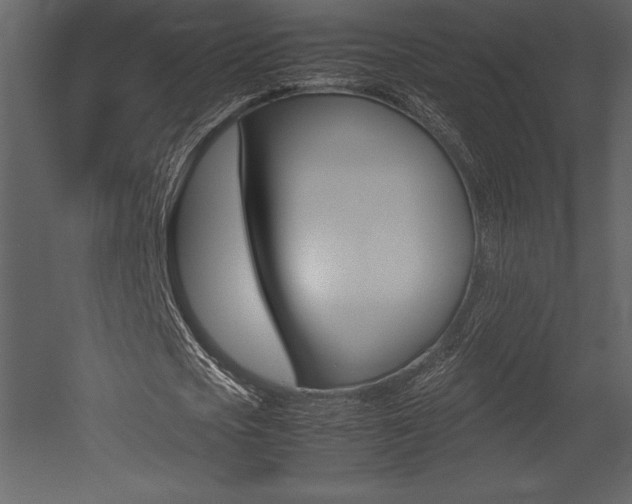X0000053010721200507081020