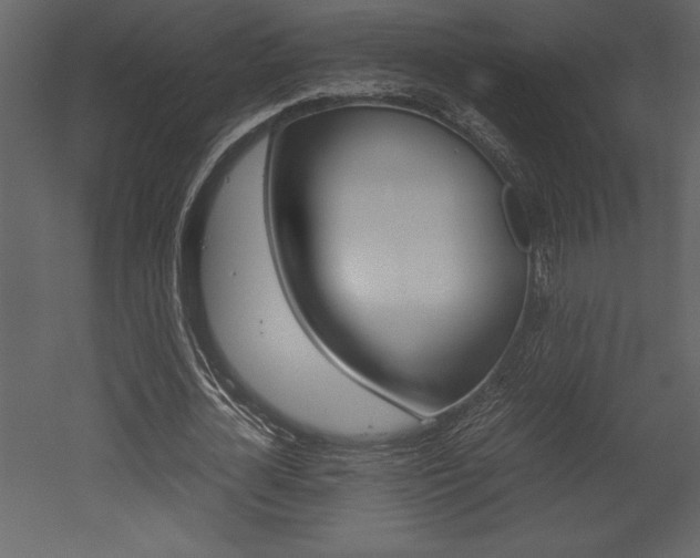 X0000053010724200507081020