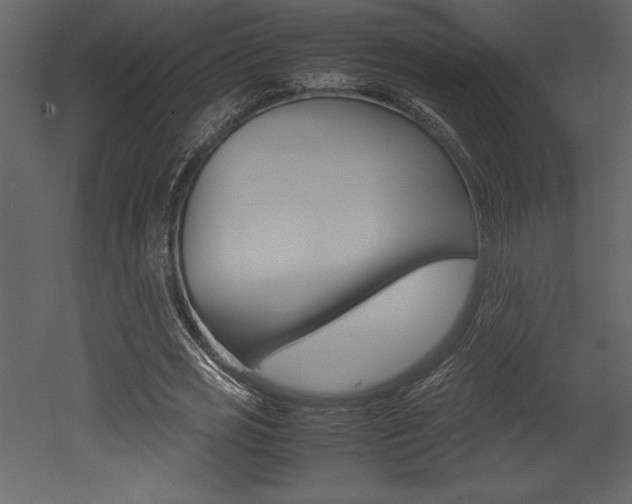 X0000053010725200507081020