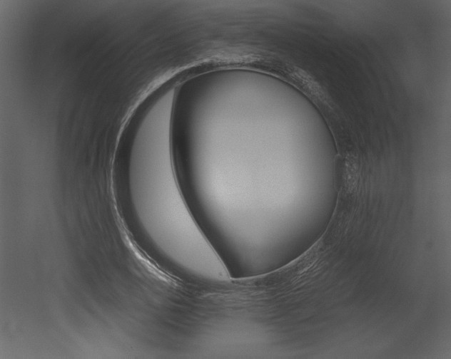 X0000053010726200507081020